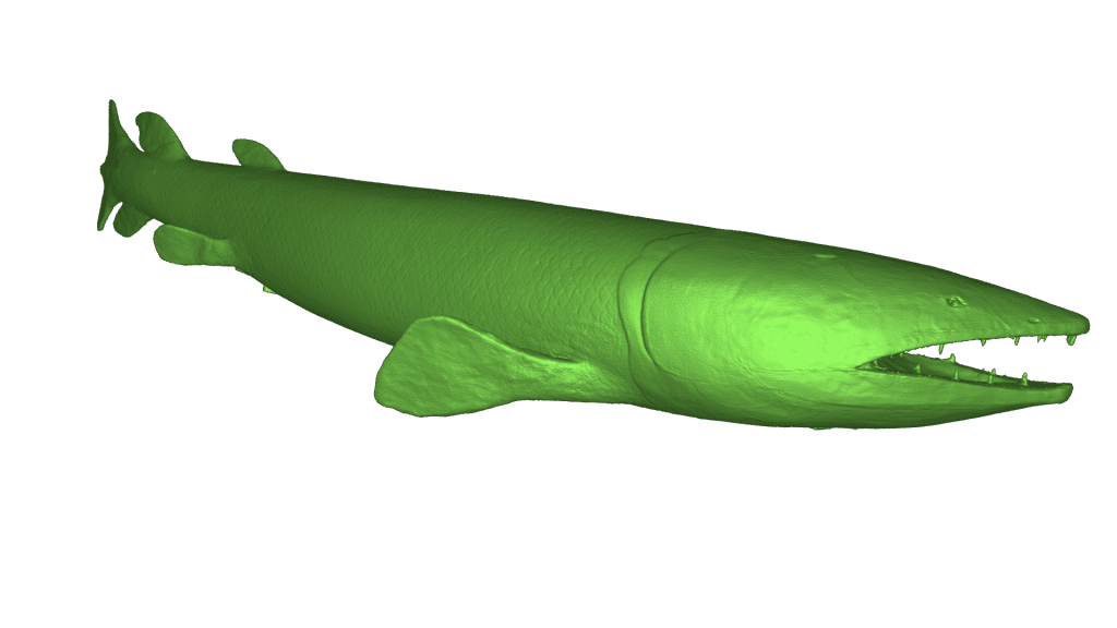 Canowindra Fossil fish 3D Scan