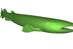 Canowindra Fossil Fish 3D Scan